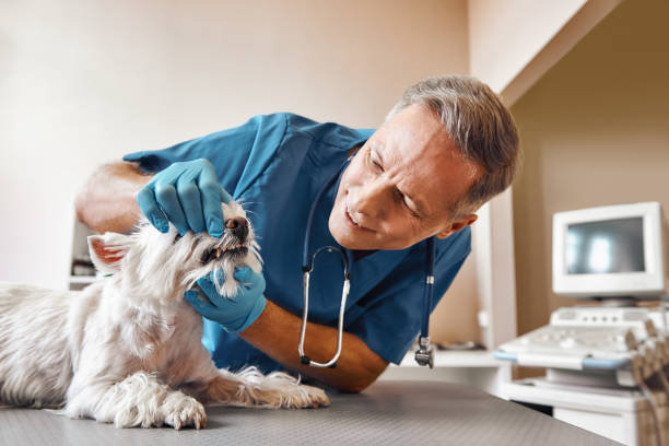 Best 24-Hour Emergency Dental Care in Stone Mountain, GA
